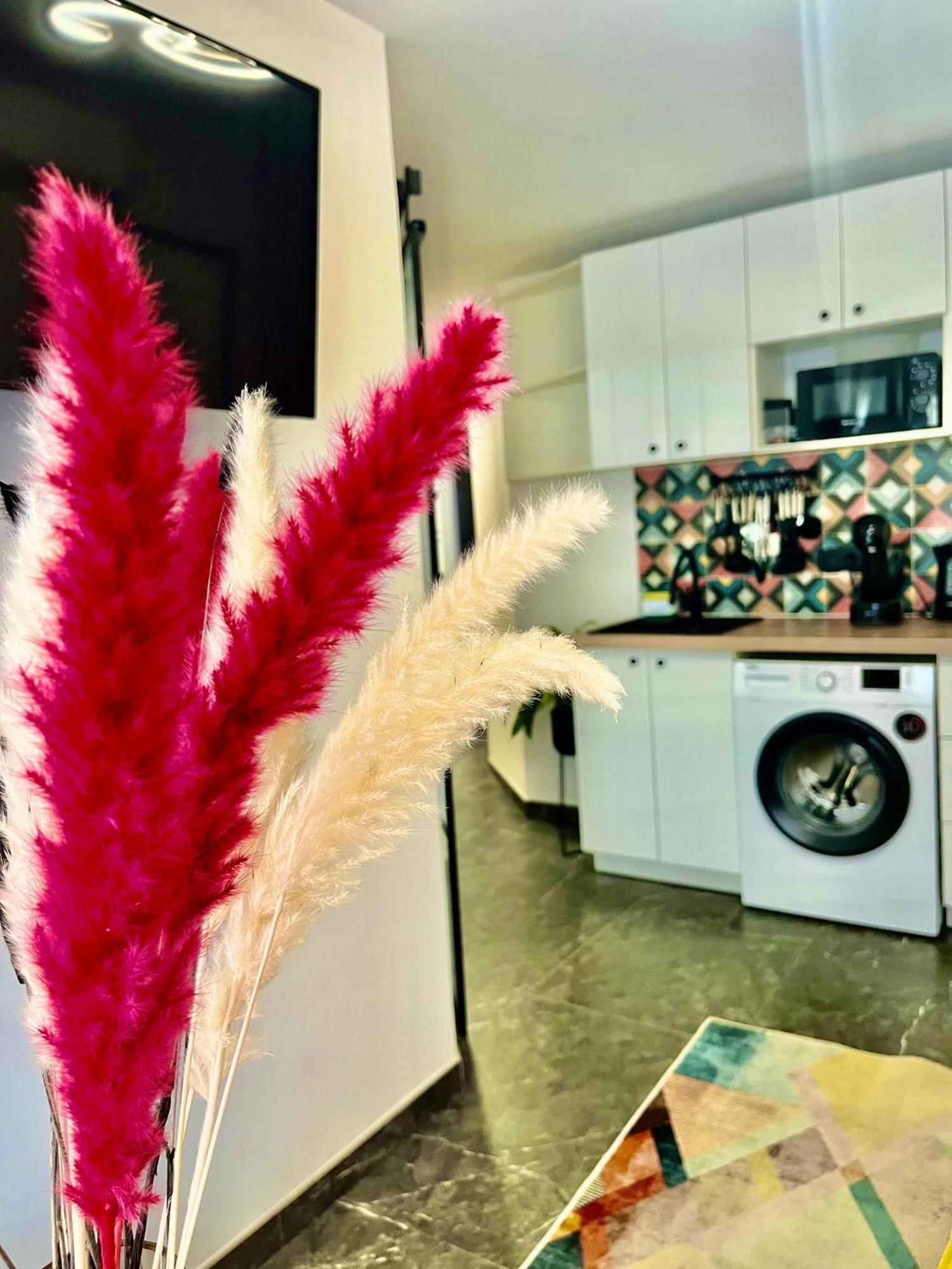 Arte Apartamento Dos Colores Alicante Zewnętrze zdjęcie